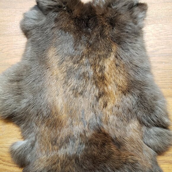 Rabbit pelt for diy or display - Picture 2 of 2